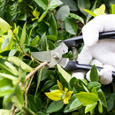 Gardening Fruit Shears Multi-function Tree Branch Manual Pruning Tool Scissors