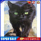 Frameless Oil Paint By Numbers DIY Cat Picture Craft Kit Home Living Room Decor