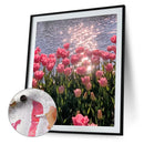 Tulip Oil Paint By Numbers Kit Frameless Drawing Picture 40x50cm (B1665)