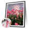 Tulip Oil Paint By Numbers Kit Frameless Drawing Picture 40x50cm (B1665)