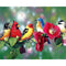 Bird on Branch Oil Paint By Numbers Kit Frameless Drawing Picture Wall Decor