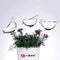 Self Watering Plant Bulbs Irrigation Birds Glass System Auto Drip Shape Garden