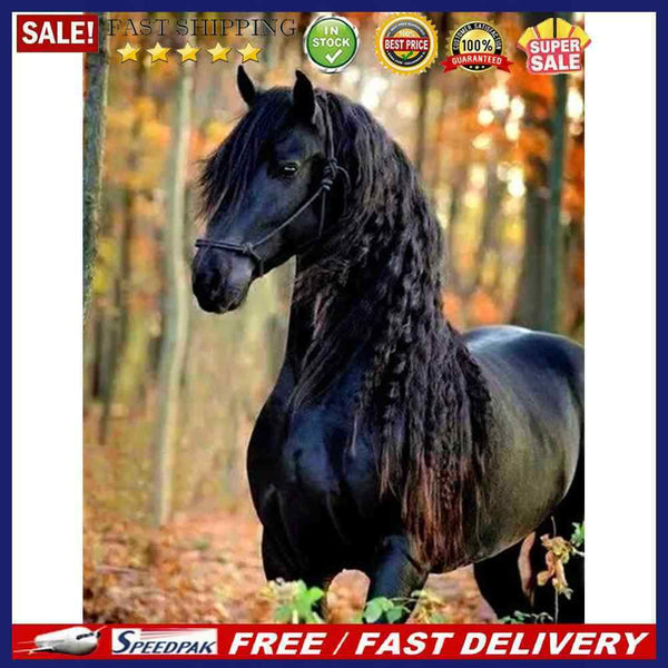 Black Horse DIY Zero Basis Paint by Number Kits Kill Time Picture Colouring