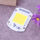 10pcs 50W LEDs Floodlights COB Chip 220V Input Integrated IC (Warm White)