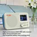 C10 2.4 inch Color LCD Screen Digital Desktop Alarm Clock DAB DAB+ FM Radio