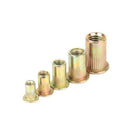 100pcs Zinc Plated Rivet Nut Kit Nutsert Cap Threaded Rivet Insert Nut Tool Set