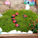 100x Mixed Ladybird Mini Self Adhesive Wooden Ladybugs Craft Card Wood Top hot.