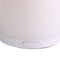 Desktop Essential Oil Diffuser Fragrance Diffuser Aromatherapy Lamp Humidifier