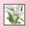 17x17cm Needlework Kit DIY Cross Stitch 14CT Stamped (H453 White Flower)