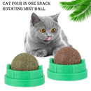 Rotatable Teeth Cleaning Cat Energy Ball Pet Food Catnip Sugar Kitten Snacks
