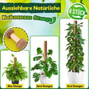 Stake DIY Climbing Vine Coconut Palm Pole Garden Support Plant Climbing Rod