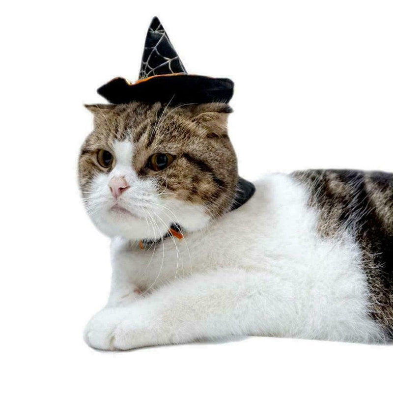 Halloween Cat Wizard Hat Products That Transform Into Hat Scarf Wizard O1V0 N0C5