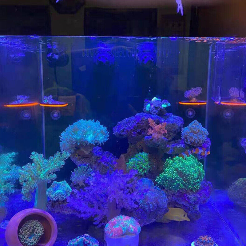 Fish Tank Coral Frag Rack Aquarium Reef with Plugs Suction Holder (Green) Newly