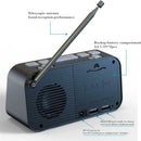 Digital Dual Timer LED Radio Clock Home Decor Alarm Clock Sleep Bedside Clocks