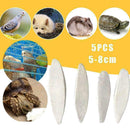 5Pcs/Set Cuttlefish Bone Cuttle Fish Bird Food Calcium HOT R9Y2 F Reptiles C6S1