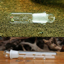 Crystal Glass Aquarium Planarian Worm Aquatic Cleaner Flatworm Pest Catch T