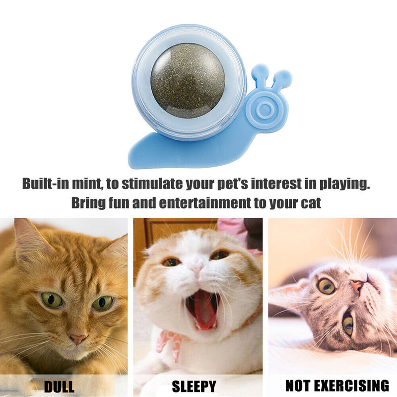 Cat Catnip Rotating Ball Cleaning Teeth Molar Interactive Pet Toys (Blue)