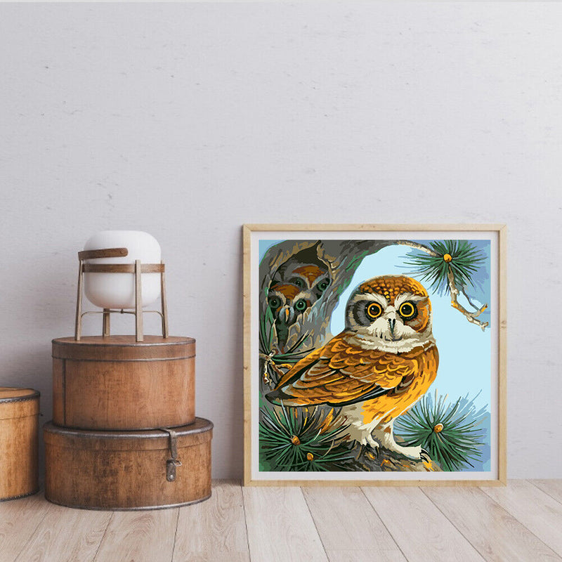DIY Paint By Number Kit Owl Animals Acrylic Paint Home Office Art Craft Gifts