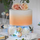 Acrylic Fillable Clear Tier Cake Separator / Cake Stand .