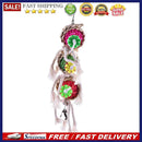 Pet Bird Bites Parrot Climb Chew Toys Hanging Cockatiel Parakeet Swing Cage