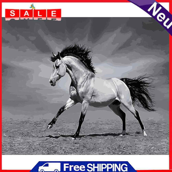 Painting By Numbers DIY Horse Hand Painted Canvas Wall Art Pictures Frameless