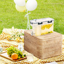 Drink Dispenser Leak-Proof Spigot Storage with Filter Screen (Black) Newly