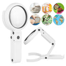LED Light and Stand Magnifying Glass Foldable Magnifier Handheld with Light