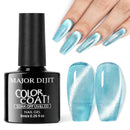 Gel Painting Varnish Phototherapy Gel Gel Nail Polish Nail Art Gel Cat Eye Gel
