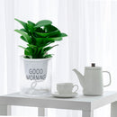 Self-watering Flowerpot Hydroponic Automatic Water Absorption Flower Pot