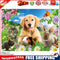 5D DIY Full Drill Diamond Painting Cute Animals Cross Stitch Embroidery Kit