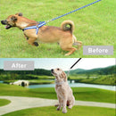 Traction Rope Dog Prong Collar Dog Leash Training Collar Pet Training Tool