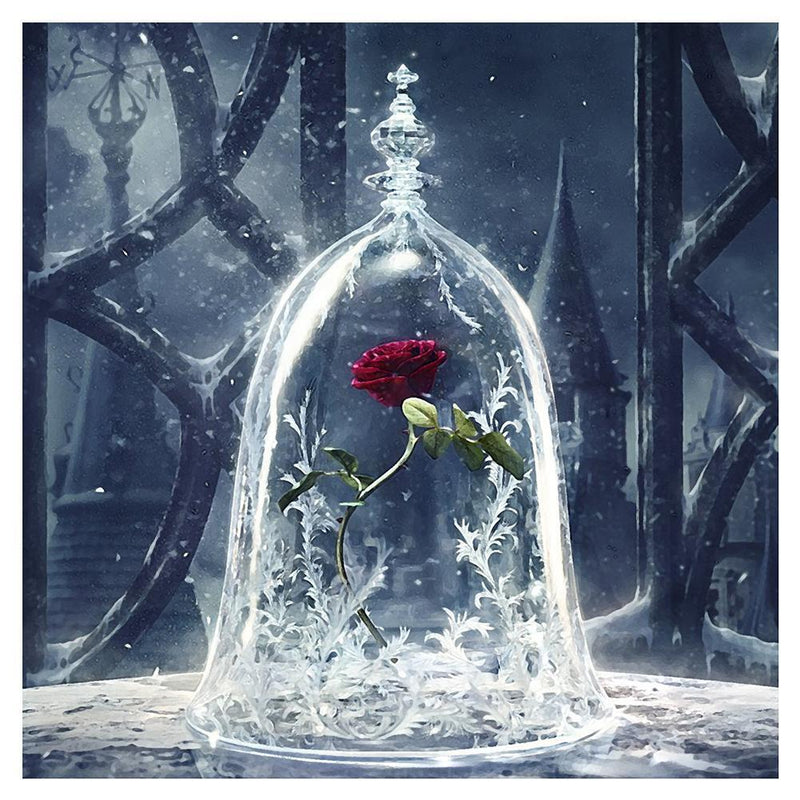 Red Rose 5D Diamond DIY Painting Kit Home Decor Craft 30 X 30cm