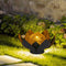Solar Lawn Lamps Cracked Glass Ball Lotus Light Home Garden Decoration Lights