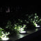 20 LED Solar Ground Lamp Waterproof Outdoor Garden Path Light (4cps White) Newly