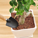 3 Piece Set Mini Garden Shovels and Claw Tool with Wooden Handles Newly