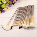 Professional 12pcs Cosmetic Makeup Powder Blush Brush Set With Leather Bag