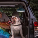 2 in 1 LED Tent Fan Rechargeable Lamp USB Charging Fan Light Without Stand Newly