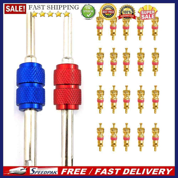 20pcs Tyre Valve Core with 2 Professional Bike Tubes Service Parts Tool for