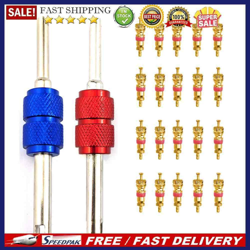 20pcs Tyre Valve Core with 2 Professional Bike Tubes Service Parts Tool for