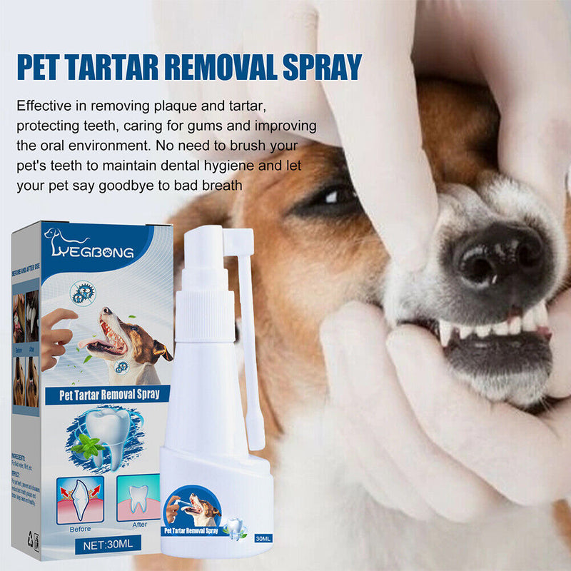 Pet Oral Remover Spray Mint Flavor Dog-Dental Spray Oral Healthy Care Pet