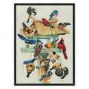 Cross Stitch Kits Embroidery Sets 11CT 3-Beach Elegant Bird Needlework Crafts
