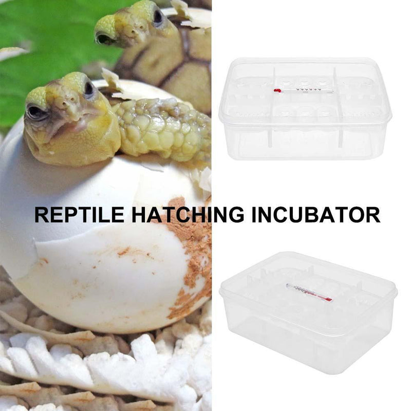 16 Grids Plastic Reptiles Egg Incubator Tray Eggs Hatcher Case for Lizard S