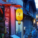 Japanese Lantern with Tassel Waterproof Festival Hanging Light Decor (E) Newly