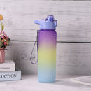 Outdoor Water Bottle with Straw BPA Free Gradient Drinking Cup (Purple) Newly