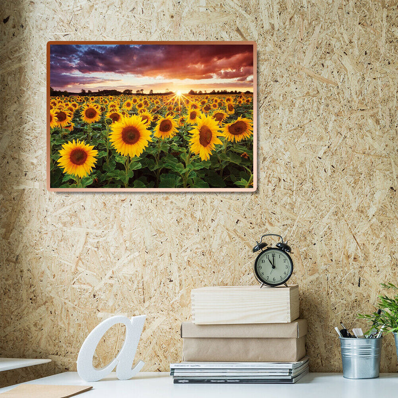 5D DIY Diamond Painting Sunflower Full Round Drill Embroidery Cross Stitch Kit