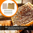 120pcs Bee Cell Cups Queen Rearing System Beekeeping Tool Cultivating Box Newly