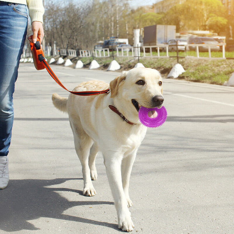 Pet Dog Chew Bite Toys Circle Ring Squeeze Tooth Cleaning Sound Funny Puppy T