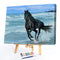 Seaside Horse Oil Paint By Numbers Kits Canvas Picture Gift for Adults Childr