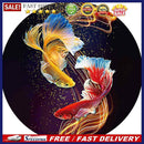 5D Full Round Drill Diamond Painting Fish DIY Cross Stitch Wall Art Embroid