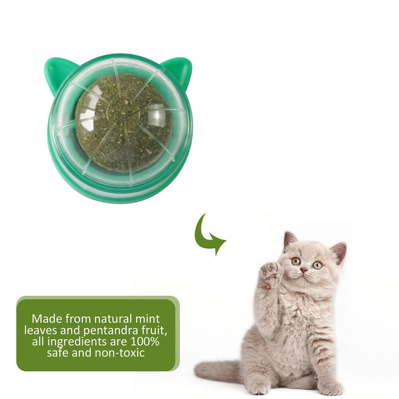Catnip Ball Cat Toys Licking Teeth Chewing Pet Training Bite Balls (Green)